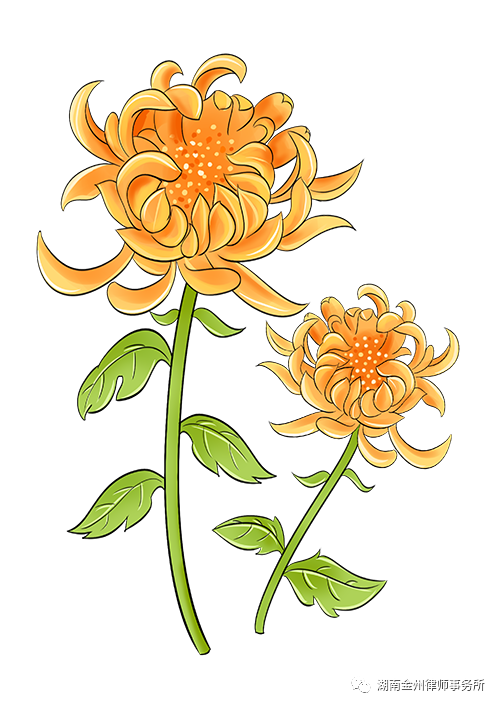 1698910126180110.png 640 (3).png